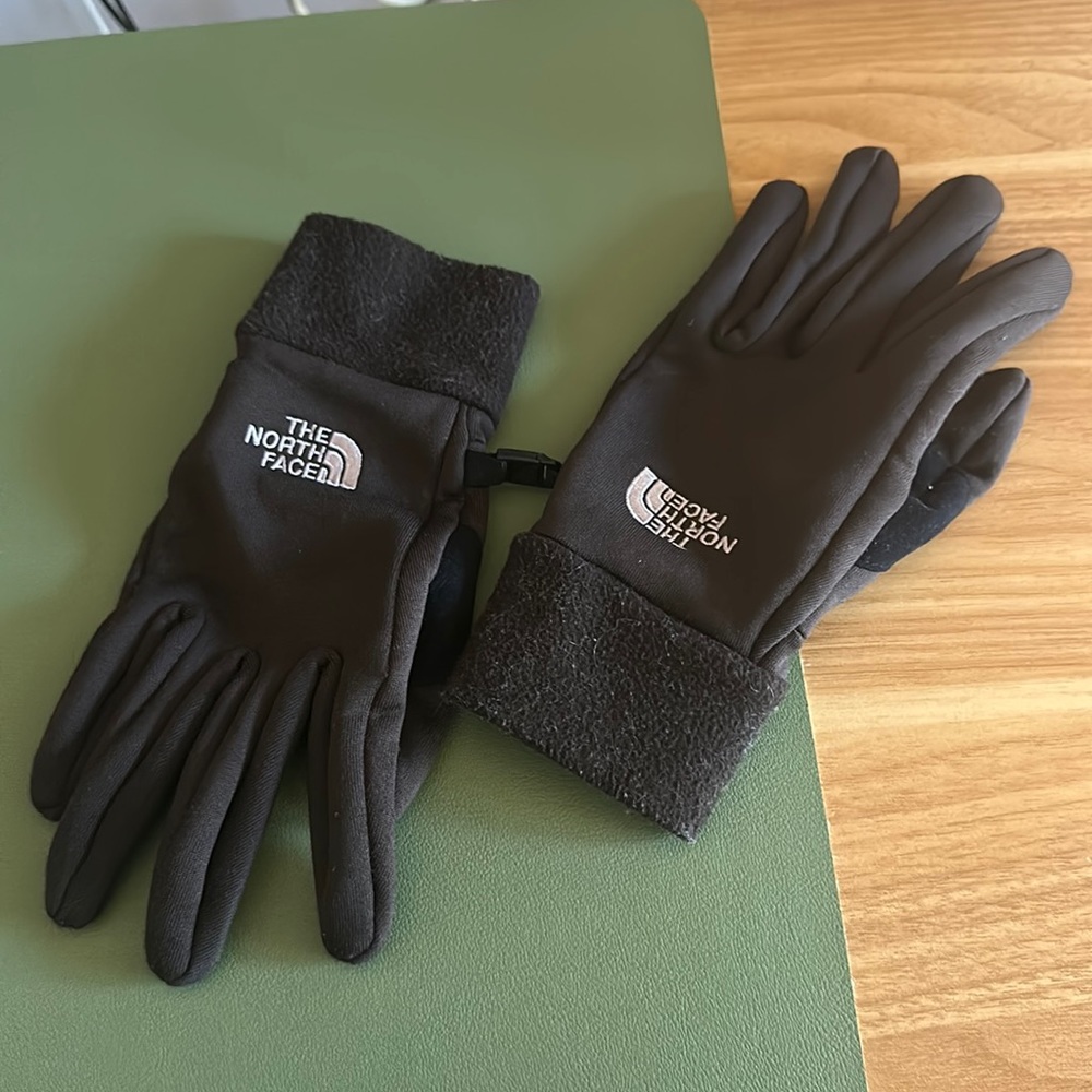 North Face Brown Gloves